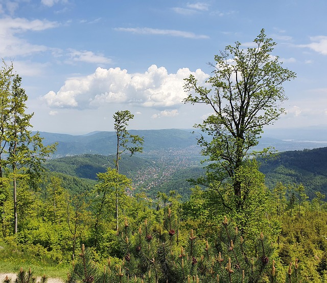 Proč raději dovolenou v Beskydech